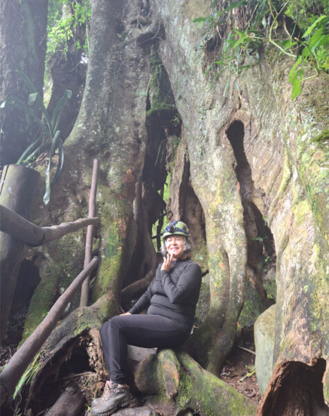 img-nucleo-ourogrosso-04 img-nucleo-ourogrosso-04