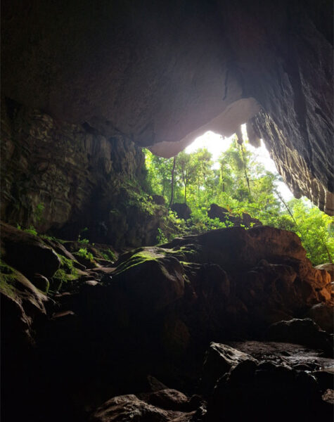 img-nucleo-santana-05 img-nucleo-santana-05