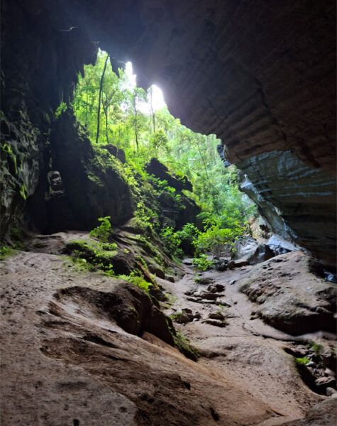 img-nucleo-santana-08 img-nucleo-santana-08