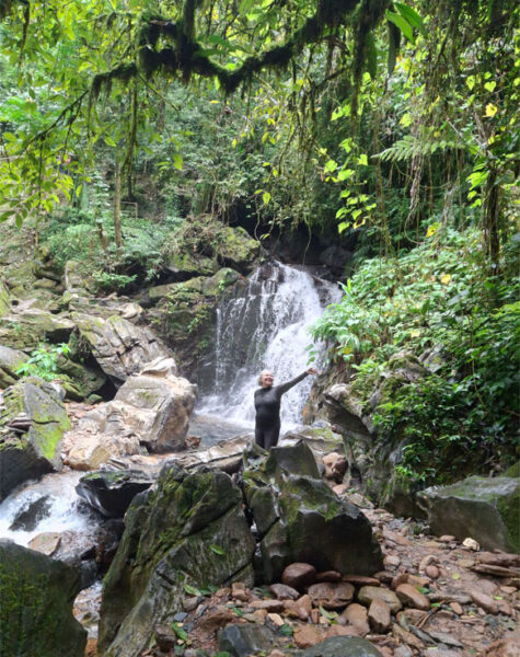 img-nucleo-santana-11 img-nucleo-santana-11