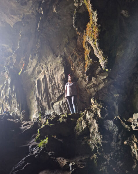 img-nucleo-santana-14 img-nucleo-santana-14