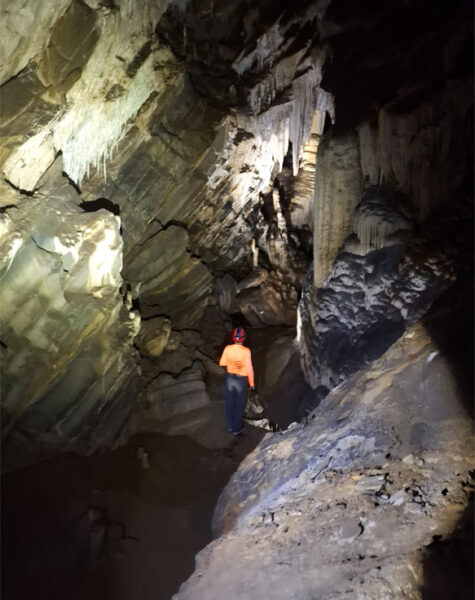 img-nucleo-santana-17 img-nucleo-santana-17