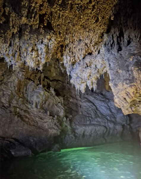 img-nucleo-santana-20 img-nucleo-santana-20