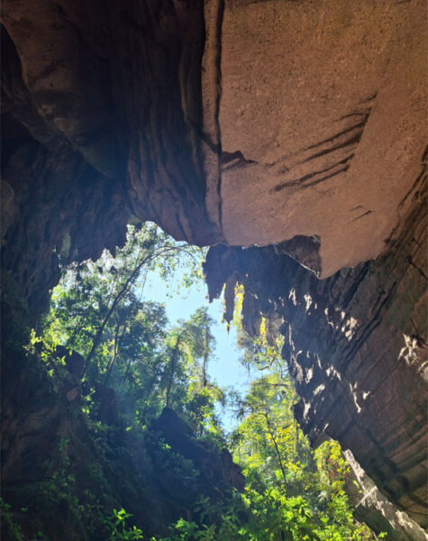 img-nucleo-santana-25 img-nucleo-santana-25