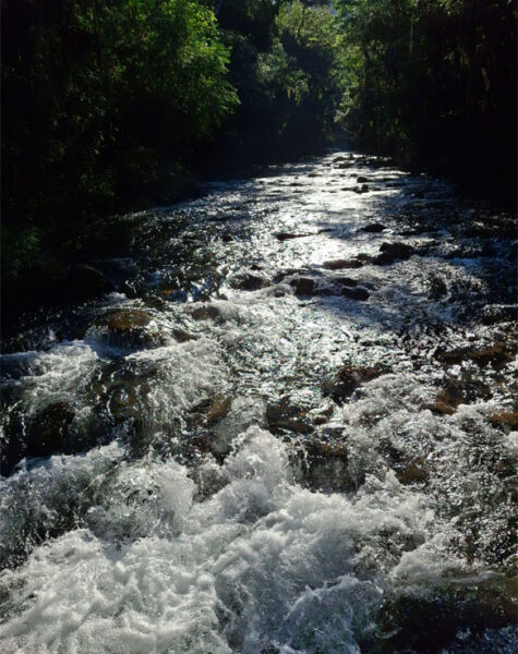 img-nucleo-santana-28 img-nucleo-santana-28