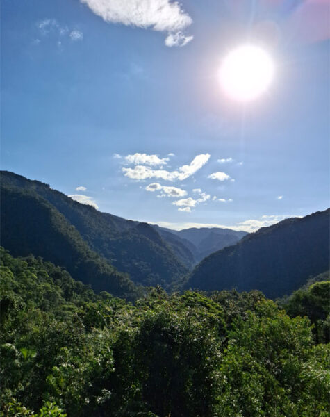 img-nucleo-santana-33 img-nucleo-santana-33