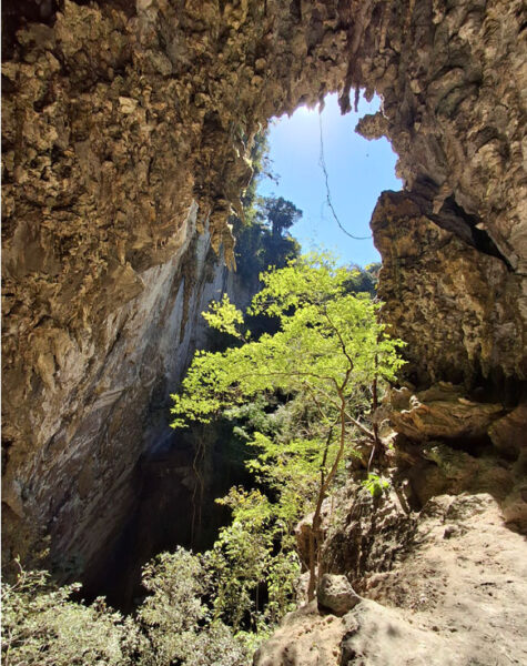 img-nucleo-termimina-02 img-nucleo-termimina-02