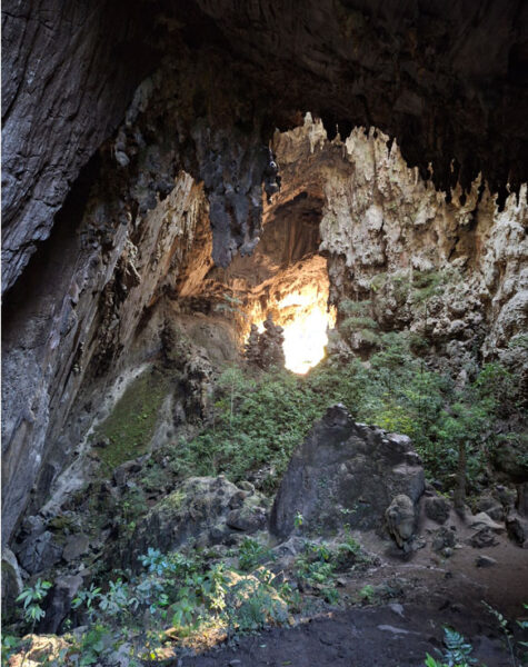 img-nucleo-termimina-05 img-nucleo-termimina-05