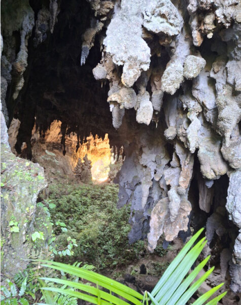 img-nucleo-termimina-06 img-nucleo-termimina-06