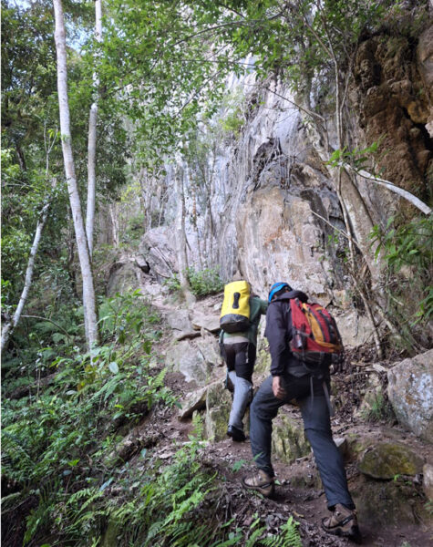 img-nucleo-termimina-13 img-nucleo-termimina-13