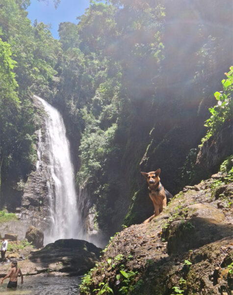 img-nucleo-valedasostras-01 img-nucleo-valedasostras-01