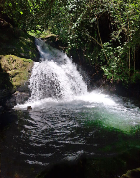 img-nucleo-valedasostras-02 img-nucleo-valedasostras-02