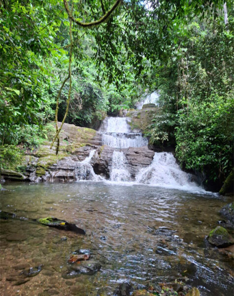 img-nucleo-valedasostras-08