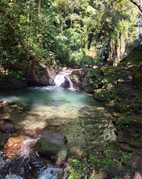 img-nucleo-valedasostras-11 img-nucleo-valedasostras-11