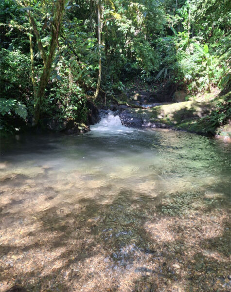 img-nucleo-valedasostras-17 img-nucleo-valedasostras-17